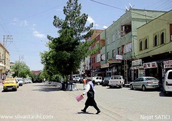 cinar_ilcesi_-diyarbakir-fot._nejatsatici.jpg